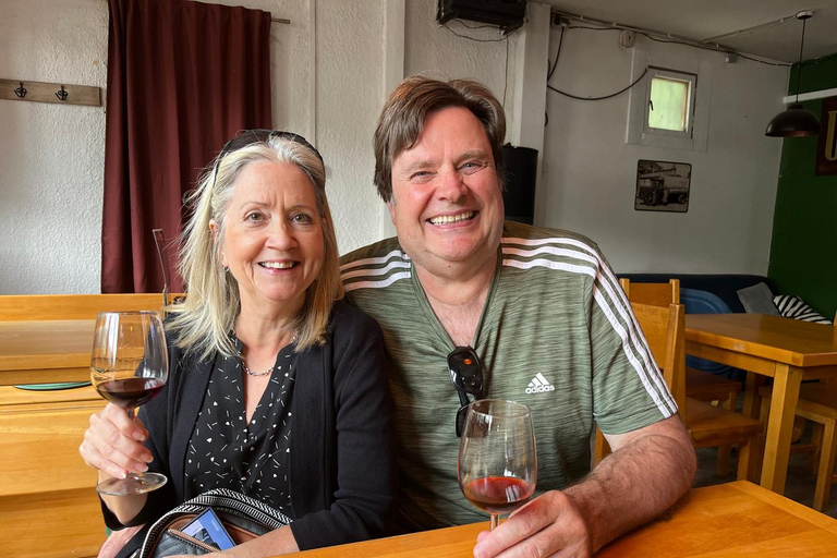 Bratislava: Devin Castle & Currant Wine Private Tour