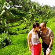 Bali: Customized Private Tour