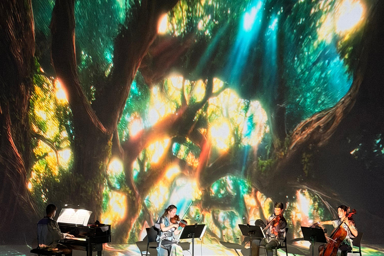✨Immersive Light & Music Show in Bilbao by Under The Tree