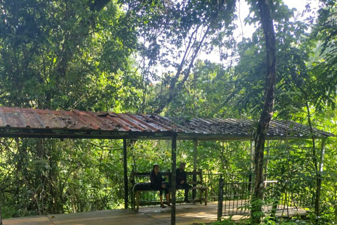 Porto Rico : Randonnée sur la rivière Gozalandia et visite des chutes d&#039;eau