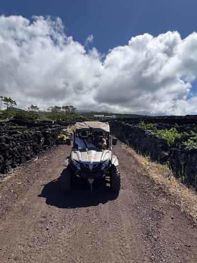 Buggy ride through the vineyards of Pico Island