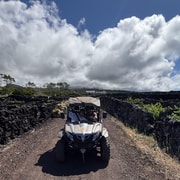 Buggy tour through the vineyards of Pico Island - 2026 (Verified