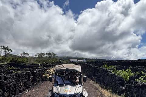 Buggy tour through the vineyards of Pico Island - 2026 (Verified