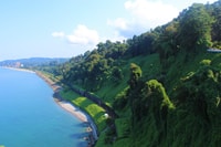 Batumi, Giardino Botanico Esplora + Degustazione di vini per famiglie - Hizvo