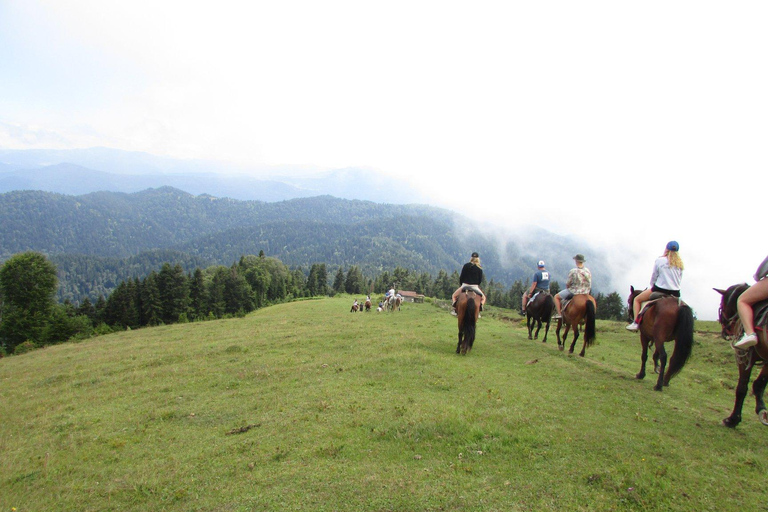 1 Day Horse Riding Adventure in Borjomi Mountains 1 day horse riding adventure in Borjomi National Park