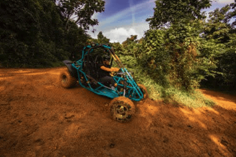 Toa Alta, PR : Aventure en buggy tout-terrain ( ATV )