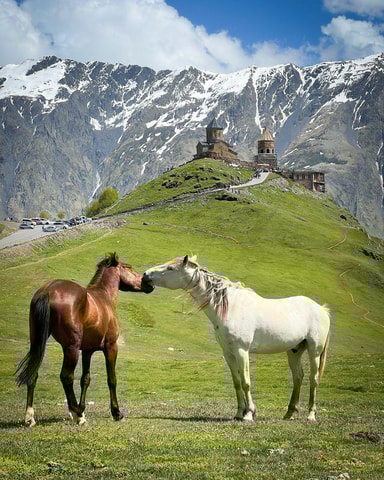 Vanuit Tbilisi: een trip naar Kazbegi, Gudauri, Gergeti en Ananuri