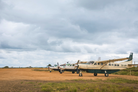 Från Zanzibar: Mikumi Safari med tvåmotorigt flygplan + lunchMikumi Safari – utan transfer
