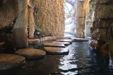 Chiang Mai:Wat Pha Lat,Doi Suthep&Sticky Waterfall Day Trip