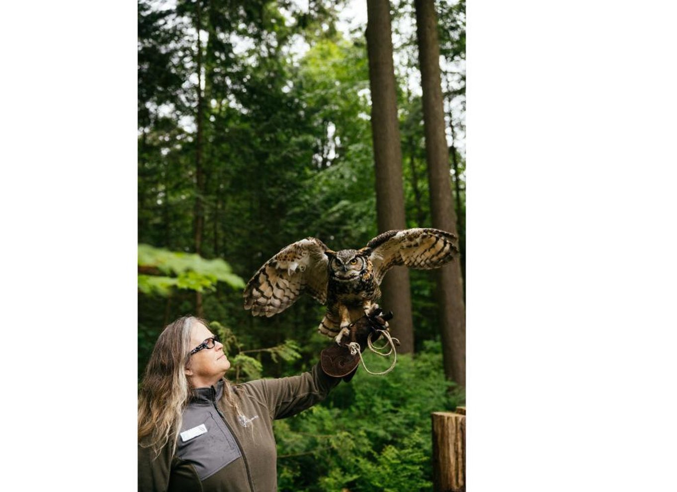 Vancouver: Capilano Suspension Bridge Park billet