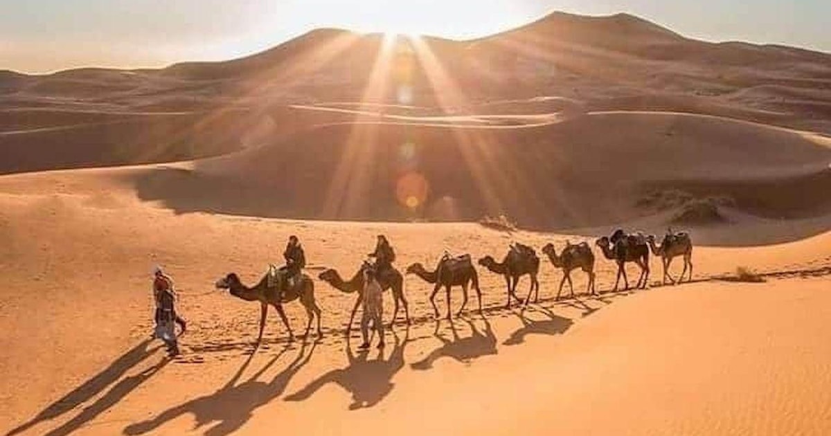 T Gige W Stentour Von Marrakesch Nach Merzouga Getyourguide