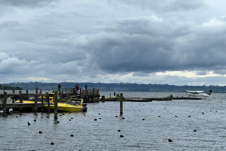 FRÅN ROTORUA: WAI-O-TAPU GEOTERMISKT UNDERLAND HALVDAGSUTFLYKT