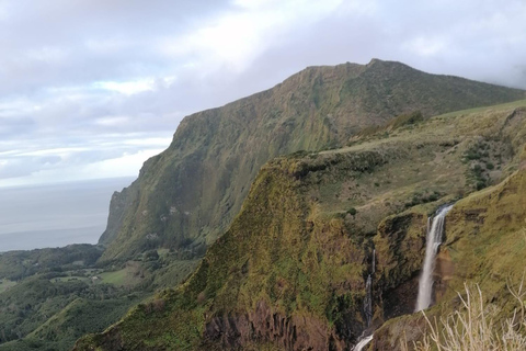 Flower Island: Van Tour
