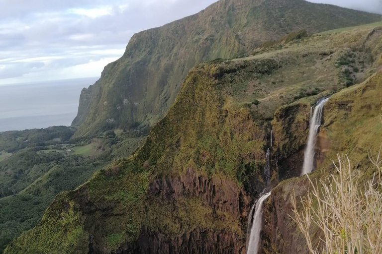 Flower Island: Van Tour