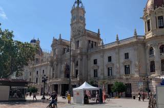 Von Albir, Altea, Benidorm und Calpe aus: Valencia Stadtausflug