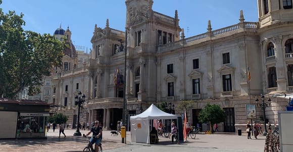 Von Albir, Benidorm & Calpe: Valencia City Tagestour
