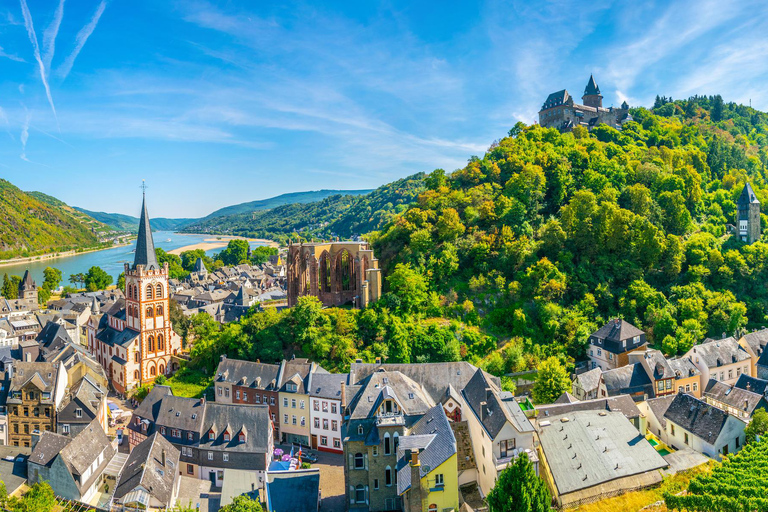 Excursion privée d&#039;une journée de Francfort à la vallée du Rhin et retour