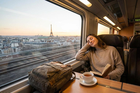 Lourdes Sanctuary Guided Tour with Transfers from Paris