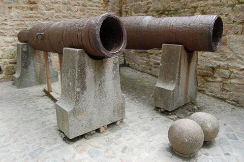 De Paris: excursão privada de um dia ao Mont St-Michel e Honfleur