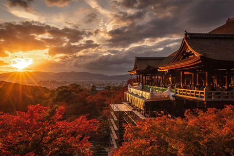 Kyoto/Osaka : excursion d&#039;une journée sur les sites historiques de Kyoto et de Nara