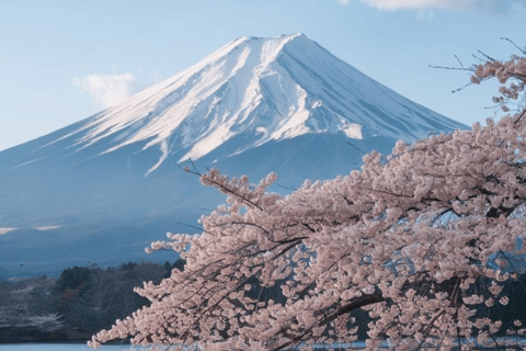 From Tokyo: Mount Fuji Full Day Customizable Private Tour