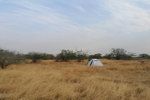 Saloum Delta: 3 days of adventure in the middle of nature, camping on a desert island Saloum Delta: Camping and Adventure