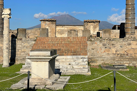 From Positano: Pompeii, Vesuvius, & Wine Tasting with Lunch