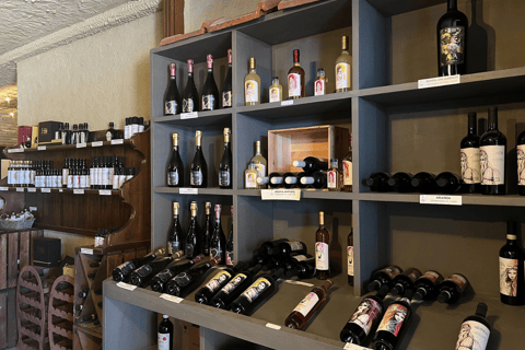 Florence: Chianti Villages, San Gimignano and Winery Tour Private Tour in Italian