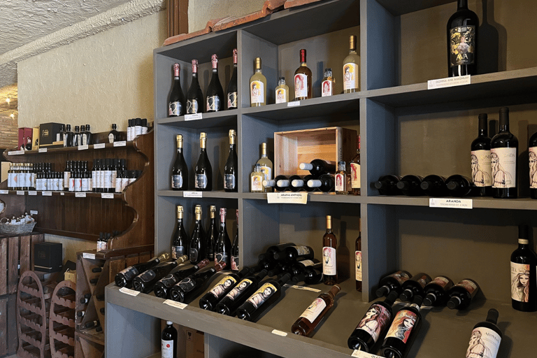 Florence: Chianti Villages, San Gimignano and Winery Tour Private Tour in Italian