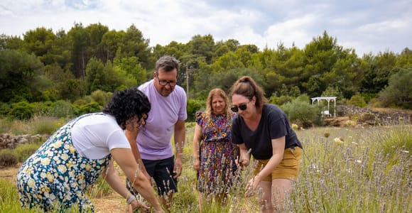 Hvar Lavender Tour: Fields, Villages & Local Tastings
