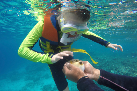 Coronado Island and Snorkel Tour