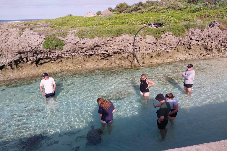 Port Vila: Private Customizable Tour with Driver