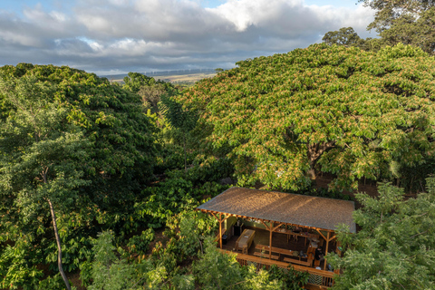 Oahu: Chocolate Farm Tour with Tasting - Kamananui Cacao