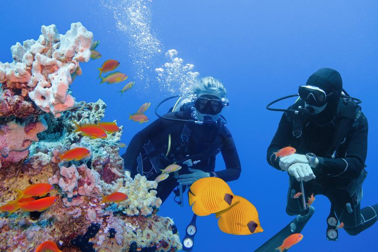 Sharm: Wycieczka morska na Białą Wyspę ze snorkelingiem, nurkowaniem i lunchemWspólna wycieczka z nurkowaniem, snorkelingiem i lunchem