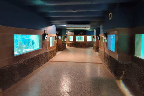 Hurghada: Hurghada City Tour with optional Red Sea Aquarium Group Hurghada City Tour