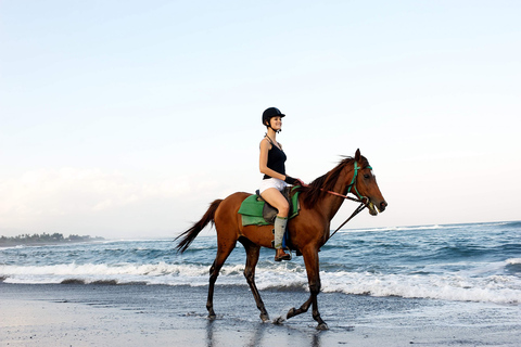 Side: Horseback Riding Tour in Nature with Transfer Horseback Riding Tour in Side: Experience Beach and Forest