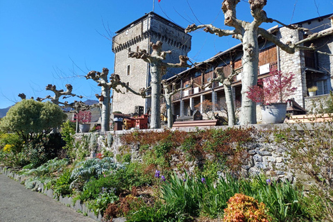 Lourdes: History and Spirituality (Half-Day Morning Tour)