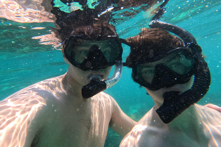 马斯喀特：在达亚马尼亚特群岛与海龟一起浮潜和皮划艇半日团体浮潜和皮划艇之旅，与海龟同行