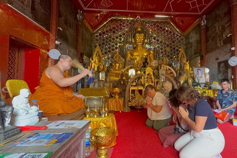 Chiang Mai: Elefantreservat, munkspår och Doi Suthep-turUpphämtning från hotell i Chiang Mai Center