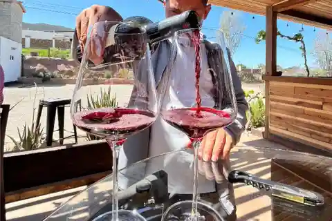 Unconventional Valle de Guadalupe