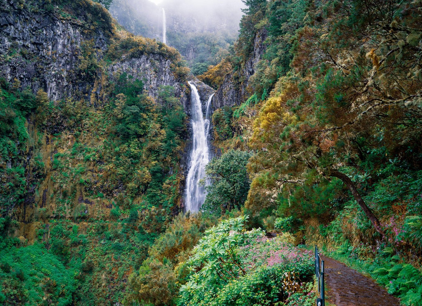 Madeira: Nyd en guidet Levada-gåtur i Rabaçal-dalen