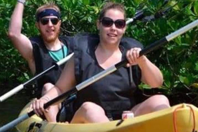 Zanzibar : excursion en kayak dans la forêt de mangrove et visite de la plage de PajeZanzibar : excursion en kayak dans la forêt de mangroves et visite de la plage de Paje