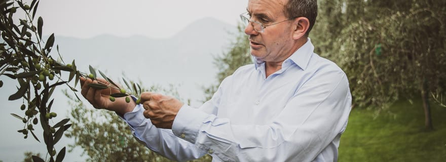 La nature, la cuisine, la culture et l'histoire du lac de Garde.