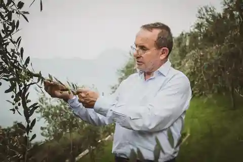 Natura, cucina, cultura e storia del Lago di Garda.