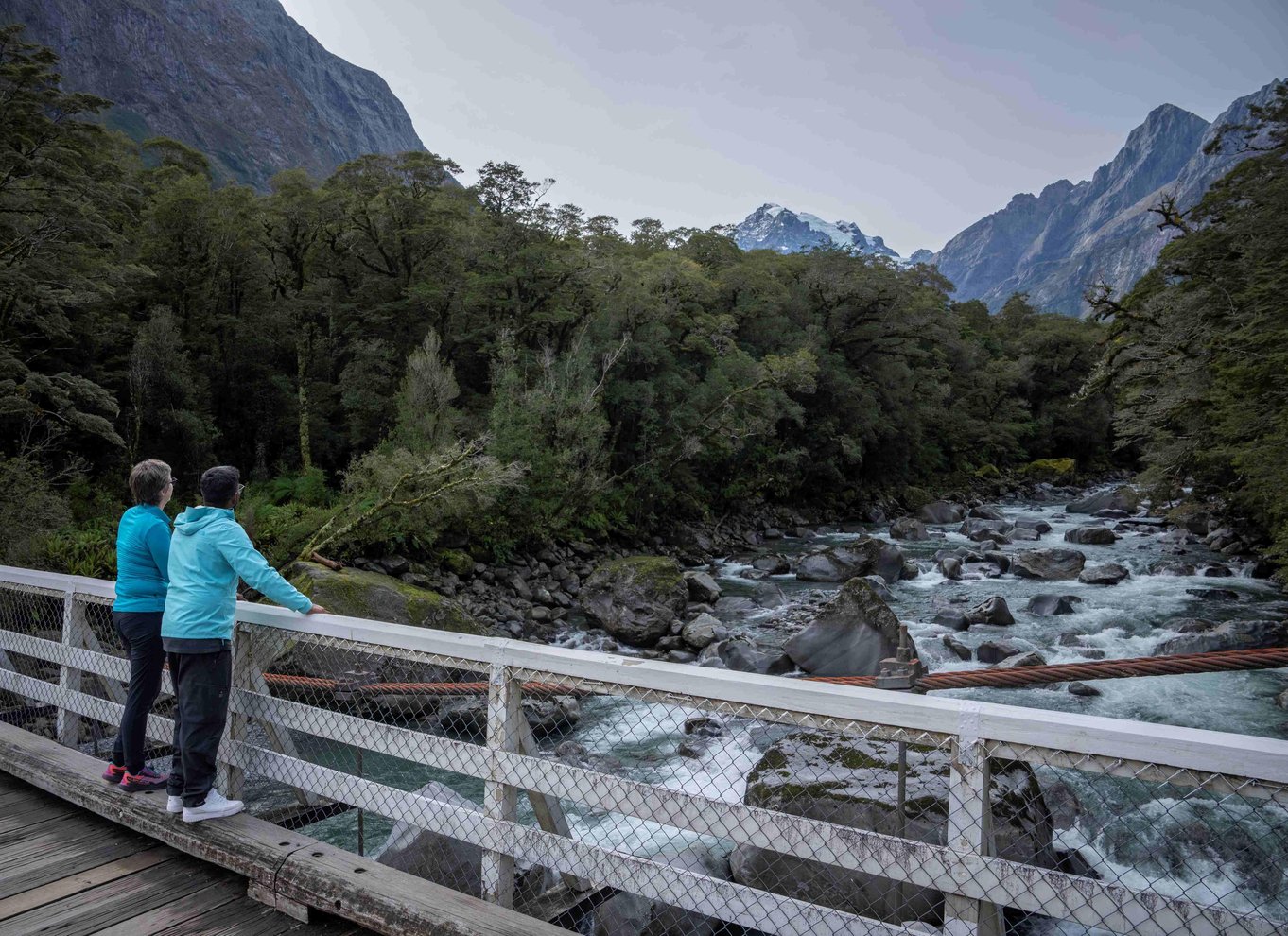 Fra Te Anau: Milford Sound bus, krydstogt og vandreture
