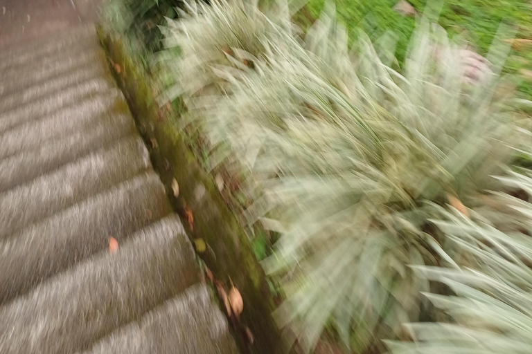 PEREIRA: VISIT TO THE SANCTUARY OF THE VIRGIN OF JORDAN + TRANSPORTATION AND LUNCH