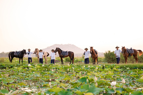 Siem Reap: Horseback Ride with Tour Guide at Phnom Krom (1 hour) Horseback Ride with Tour Guide
