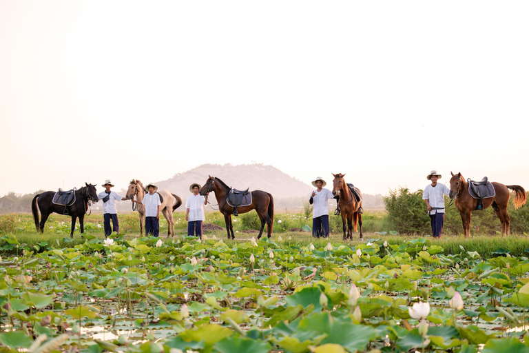 Siem Reap: Horseback Ride with Tour Guide at Phnom Krom (1 hour) Horseback Ride with Tour Guide