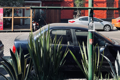 The Steps of Frida: Mexico City The Steps of Frida + Entrance to La Casa Azul