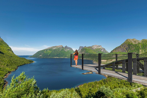 Tromsø: Senja Island Day Fjord Trip with Lunch and Photos